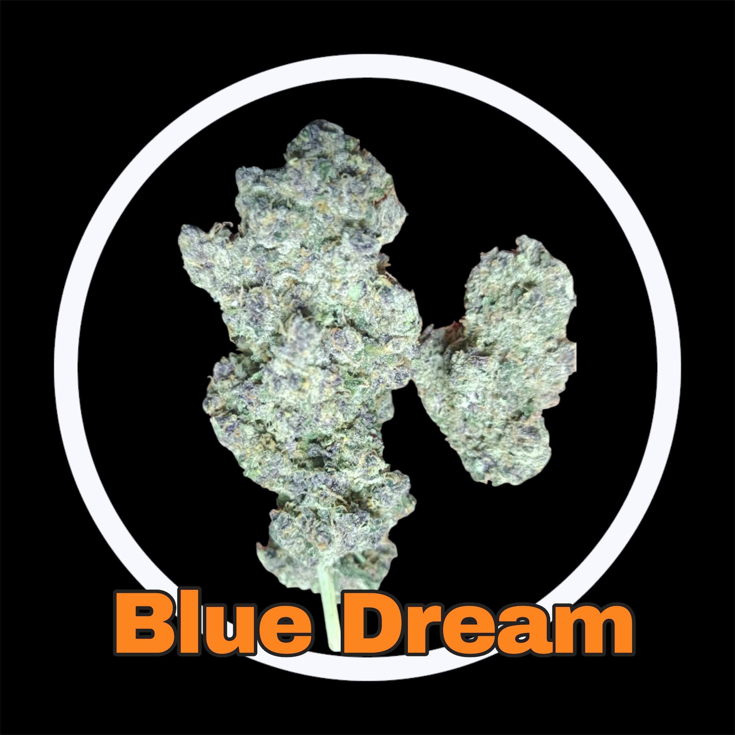 30-03-26 07-23-55pm.jpg